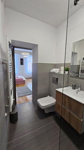 a bathroom with a toilet and a sink at Home Dulcesa in Sibiu
