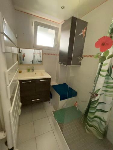 une petite salle de bain avec un lavabo et une douche dans l'établissement 3chambre 90m2 paking, à Vitry-sur-Seine