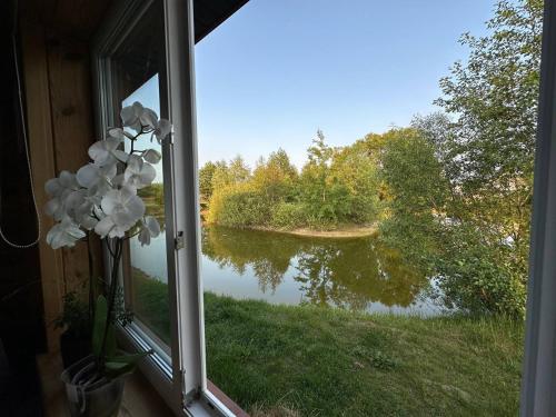 a window view of a lake from a house at Лукі in Svityazʼ