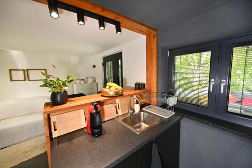 Kuchyň nebo kuchyňský kout v ubytování Sip & Sleep - A Vineyard Microhome Experience