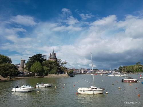 un groupe de bateaux assis dans l'eau dans l'établissement Mobil-home Marinette, à Les Moutiers