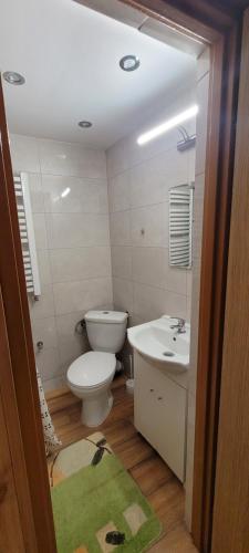 a bathroom with a toilet and a sink and a mirror at Zofiówka in Pozezdrze