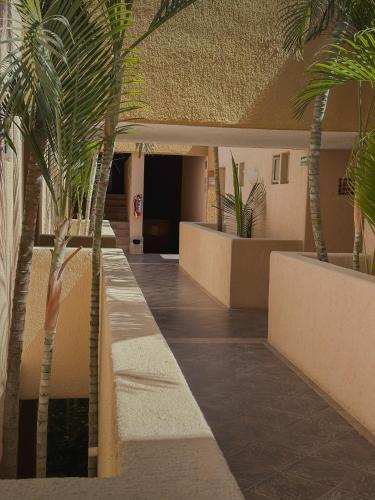 a hallway with palm trees in a building at Hotel Los Patios in Cabo San Lucas