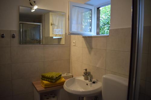a bathroom with a sink and a toilet and a mirror at Apartments Tonka Grebaštica in Grebaštica