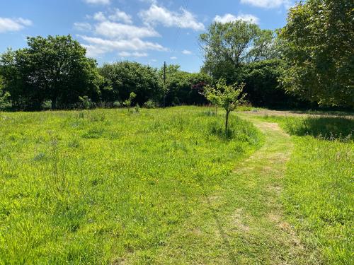 a dirt trail in a field with a tree at Chadenn in Lannion