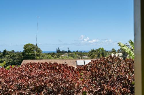a hedge of red plants with the ocean in the background at 2 Mi to Hana Hwy Haiku Home with Ocean Views! in Haiku