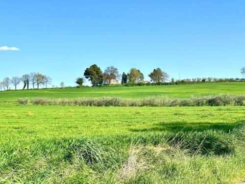 Φυσικό τοπίο κοντά σε αυτό το διαμέρισμα