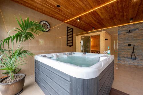 a large bath tub in a room with a plant at Boogie House domki nad morzem in Jarosławiec