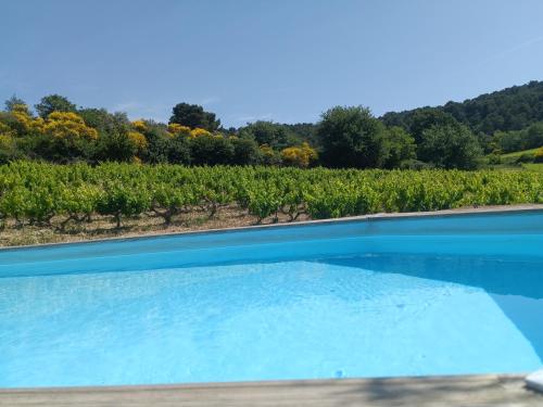 une piscine bleue en face d'un vignoble dans l'établissement Gîte en provence au coeur des vignes, à Villedieu