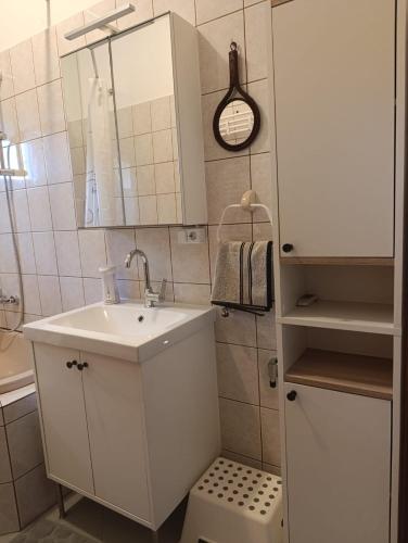 a small bathroom with a sink and a mirror at Apartments Rooster in Rakovica