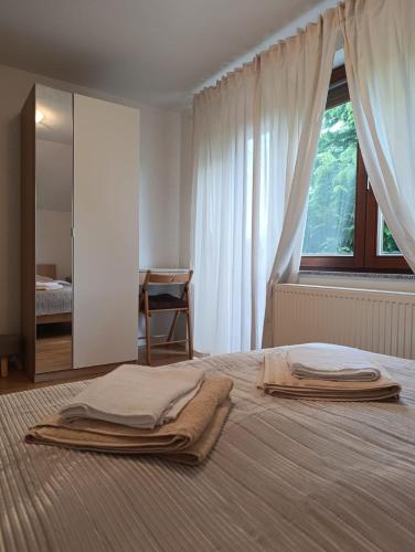 a bedroom with a bed with a mirror and a window at Apartments Rooster in Rakovica