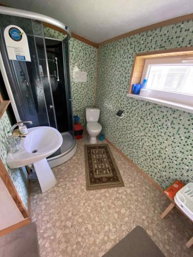 Un baño con lavabo, ducha e inodoro. en Kodavere puhkemaja 1, en Vihtra