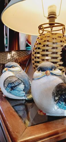 two birds sitting on a table with a lamp at Pousada Horizonte dos Borbas in Abraão