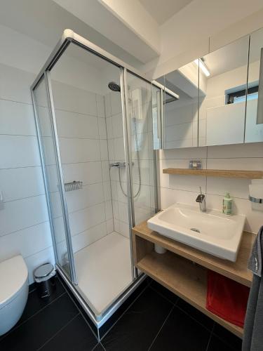 a bathroom with a shower and a sink at Ferienhaus Lakoma in Elsterheide