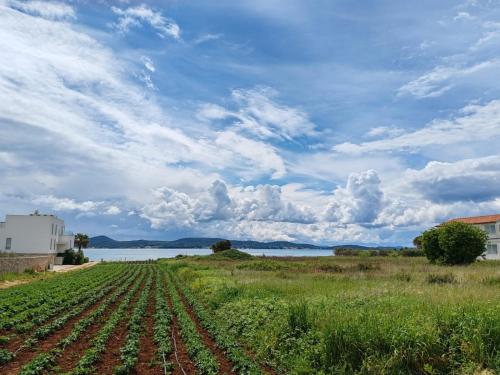 Seaside Serenity "Sea" with pool, 150m from sea