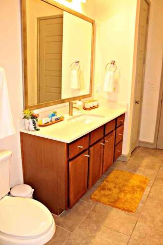 a bathroom with a sink and a toilet and a mirror at Relax & Enjoy In The City in Houston
