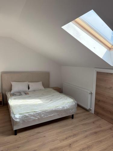 a bedroom with a bed and a skylight at Vila parc 1 in Brăila