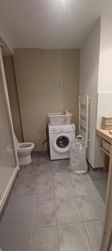 une petite salle de bains avec un lave-linge et des toilettes. dans l'établissement Serenity Apprt 1, à Théoule-sur-Mer