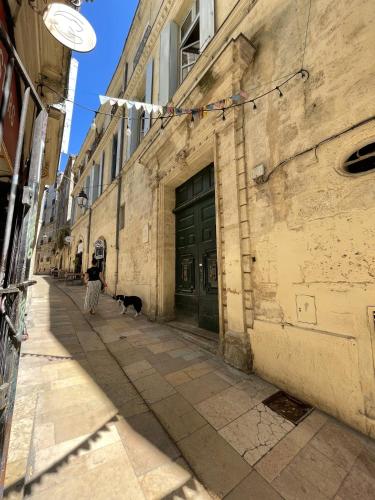 une personne promenant un chien dans une rue à côté d'un bâtiment dans l'établissement Ecusson - Duplex lumineux et climatisé dans hôtel particulier, à Montpellier