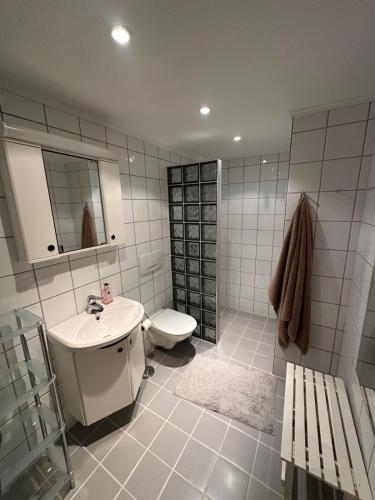 a bathroom with a sink and a toilet and a sink at Ski in-ski out leilighet Hemsedal in Fausko