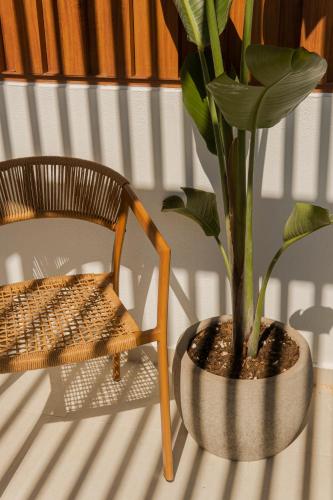 a plant in a pot sitting next to a chair at Palm Boutique Suites in Pefkohori