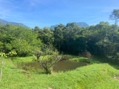 a small pond in a field with trees in the background at Chale Beija flor in Praia Grande