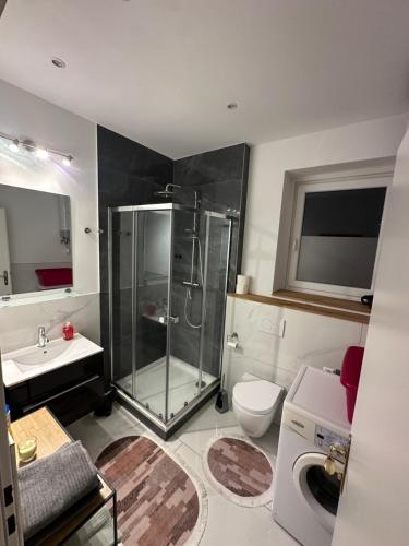 a bathroom with a shower and a toilet and a sink at Wohnung am Stadtpark in Neunkirchen