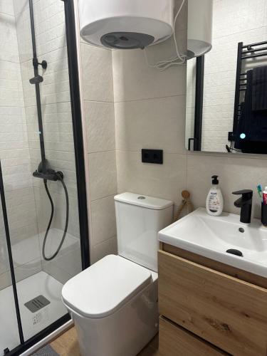 a bathroom with a shower and a toilet and a sink at Aral in La Pinilla