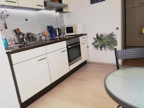 Η κουζίνα ή μικρή κουζίνα στο Vacation Apartment In the Black Forest