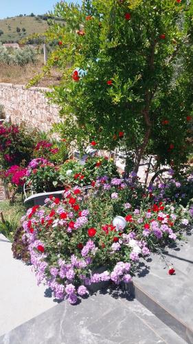 Fotografie z fotogalerie ubytování Vila Disha Ksamil v destinaci Ksamil