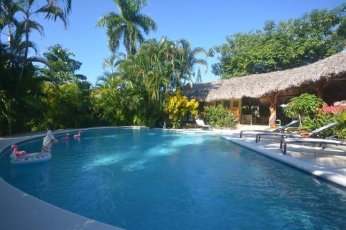 a swimming pool at a resort with a resort at Villa à 250 mètres de la Mer in Las Terrenas