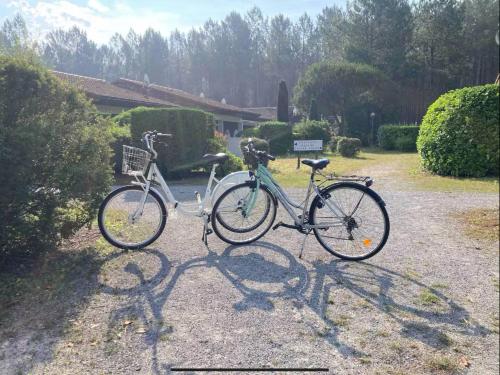 - deux vélos garés l'un à côté de l'autre dans une allée dans l'établissement Studio dans les Landes, à Lit-et-Mixe