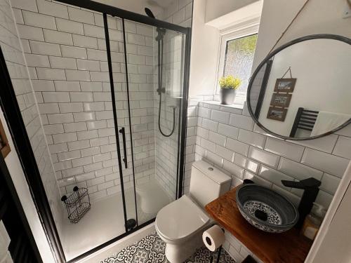 a bathroom with a shower and a toilet with a mirror at 51 Fernhill Heights in Bridport