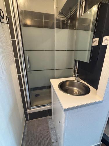 une salle de bain avec un lavabo et une douche dans l'établissement Studio hyper centre de Rennes, à Rennes