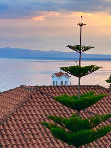 a roof with a christmas tree on top of it at SK studios & apartments in Neo Klima