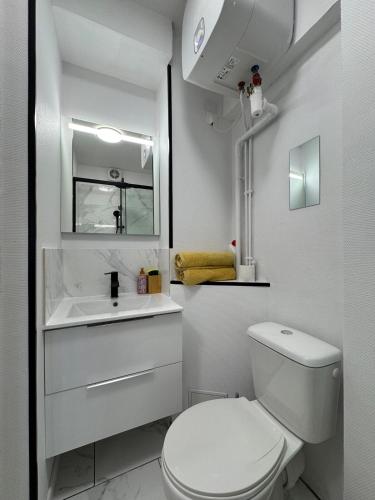 une salle de bain blanche avec des toilettes et un lavabo dans l'établissement Le Germier - Studio en hyper-centre de Toulouse, à Toulouse