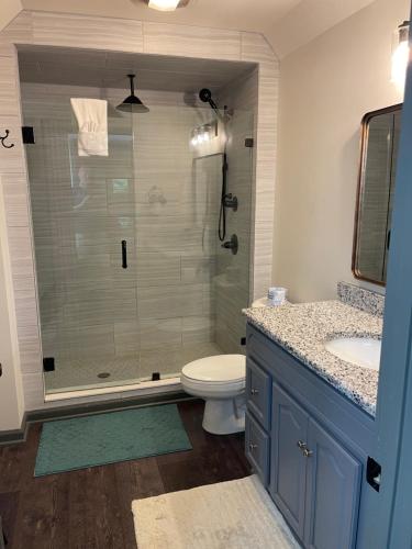 a bathroom with a shower with a toilet and a sink at Daynas Star Gazer in Gatlinburg