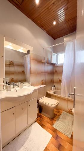 a bathroom with a sink and a toilet and a shower at Privilegio apartment in Episkopianá
