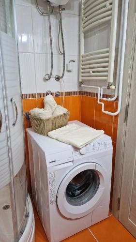 Koupelna v ubytování Apartman Pegaz