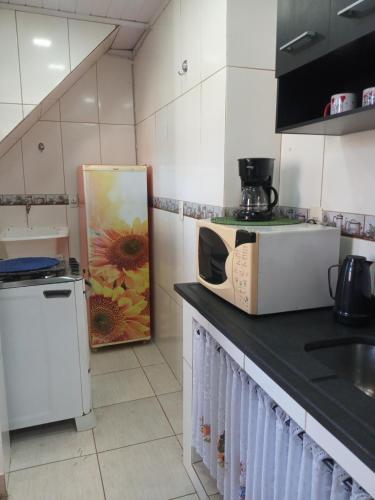 a kitchen with a microwave and a painting on the counter at Apartamento perto do Palácio de Cristal in Petrópolis