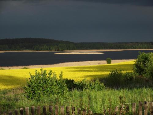 Zofiówka