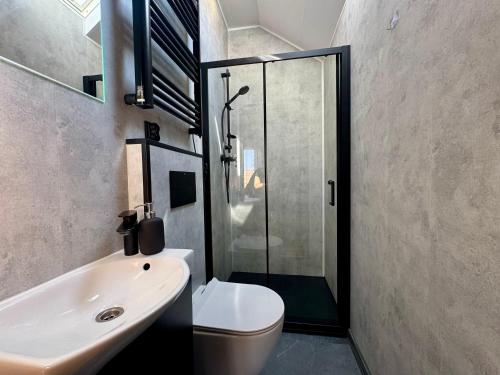 a bathroom with a toilet and a sink and a shower at Wooden studies in Piotrowice