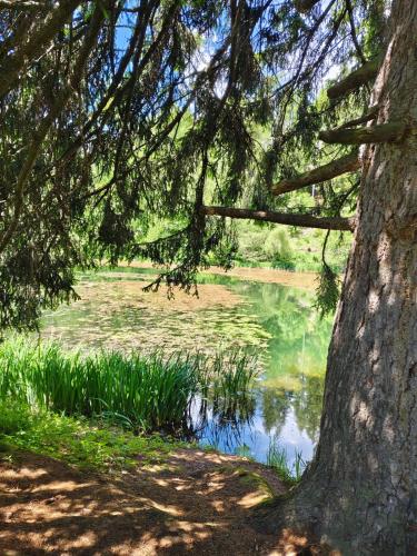 a view of a pond with a tree at Ferienwohnung Familie Pichler in Neumarkt in Steiermark