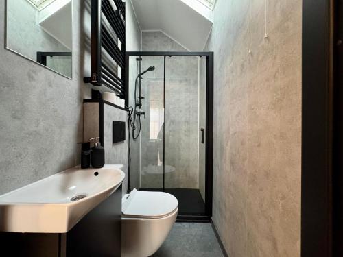 a bathroom with a toilet and a sink and a shower at Wooden studies in Piotrowice