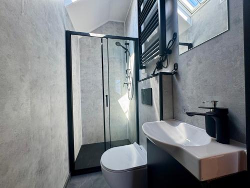 a bathroom with a sink and a shower and a toilet at Wooden studies in Piotrowice