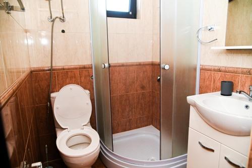 a bathroom with a toilet and a shower and a sink at Antonios Apartments in Ulcinj