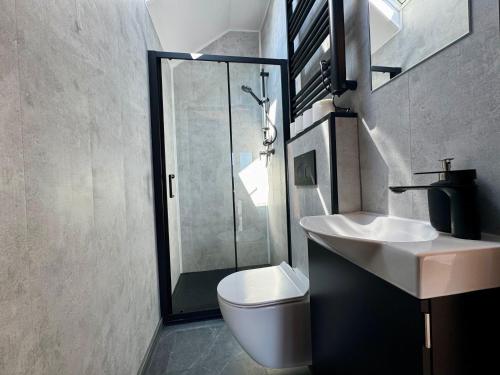a bathroom with a toilet and a sink and a shower at Wooden studies in Piotrowice
