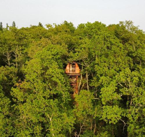La cabane entre les cimes