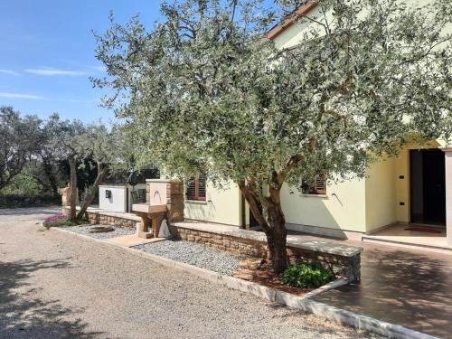 Modern&Family friendly Fažana Apartment Ana Bruna