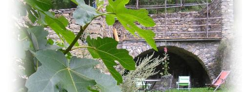 a large green leafy plant in front of a tunnel at Le Gîte des Fées in Crévoux in Crévoux